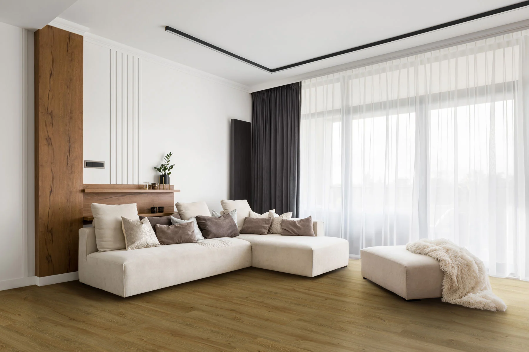 Elemental SPC Alicante en un ambiente
